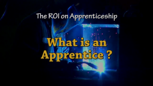what is apprenticeship