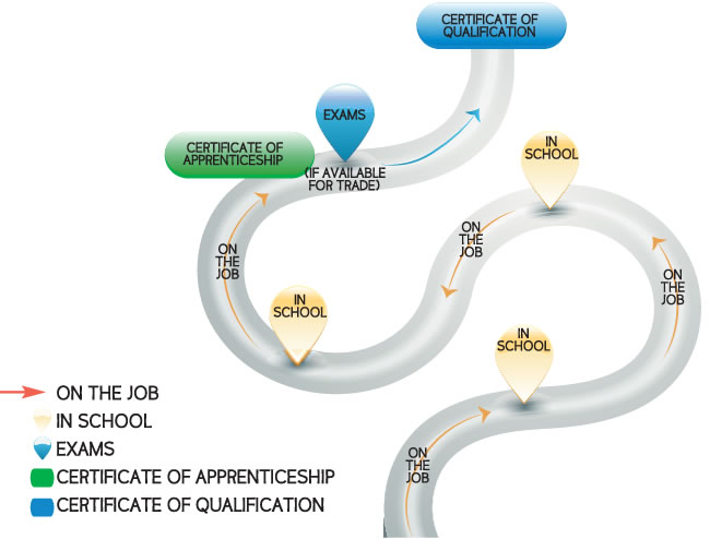 apprenticeship timeline